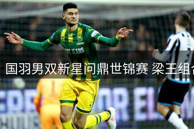国羽男双新星问鼎世锦赛 梁王组合破多项历史纪录