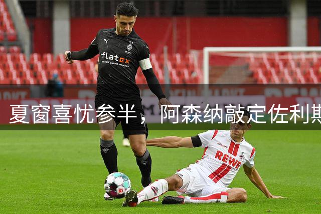 夏窗喜忧参半，阿森纳敲定佐利斯，错失罗杰斯，吉马良斯谈判遇阻