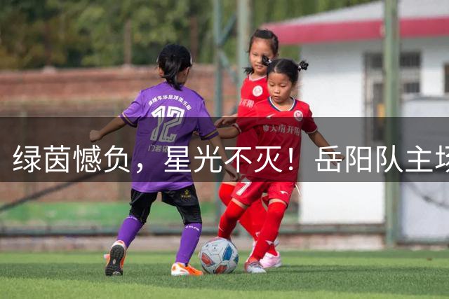 绿茵憾负，星光不灭！岳阳队主场1:2惜败益阳队